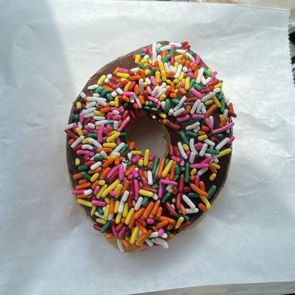 Chocolate sprinkles donut